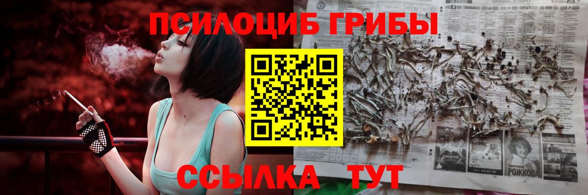 Карталы  Галлюциногенные грибы Psilocybe  Вход с VPN 